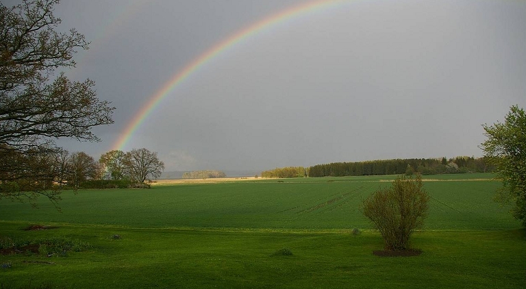 Affirmations to Foster Positive Thinking